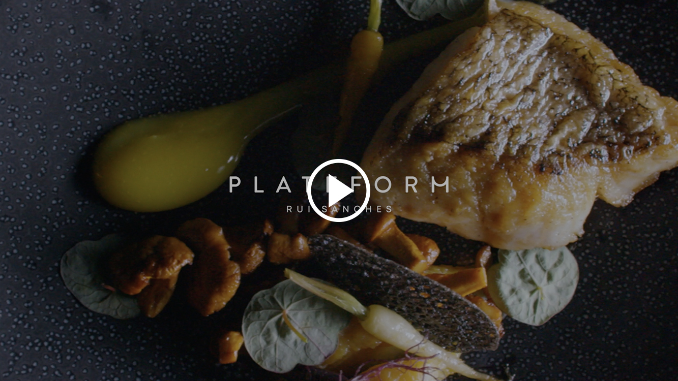 Lançamento Plateform